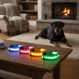 LED Hundehalsband