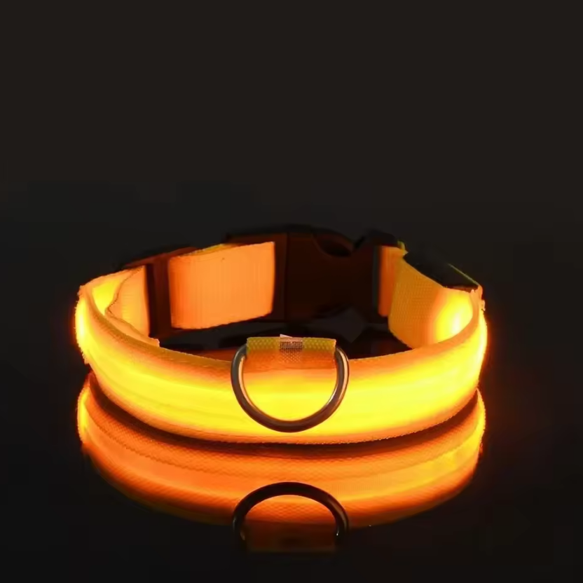 LED Hundehalsband