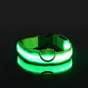 LED Hundehalsband
