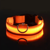 LED Hundehalsband