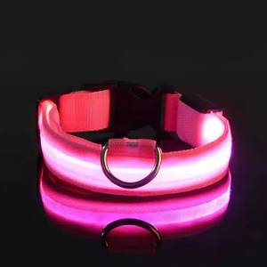 LED Hundehalsband