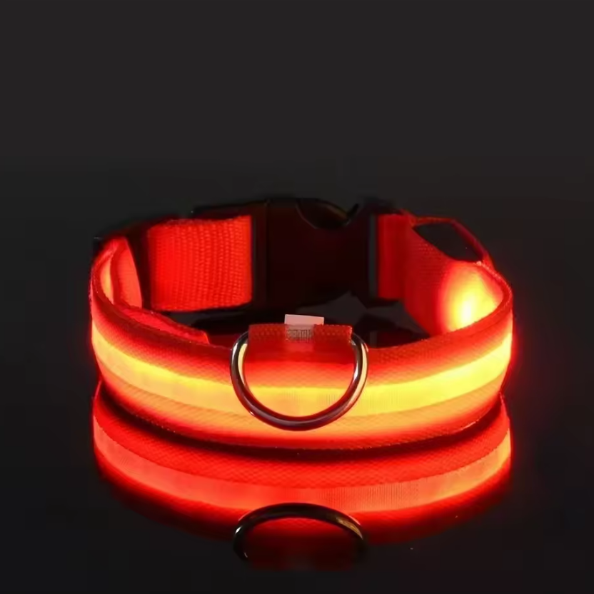 LED Hundehalsband
