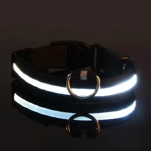 LED Hundehalsband