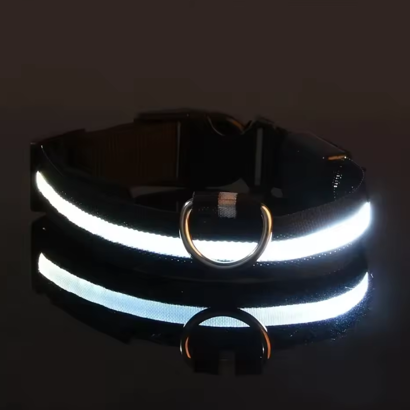 LED Hundehalsband